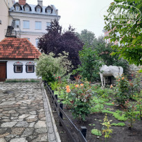 фото из отзыва ID 2216465