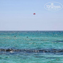 фото из отзыва ID 2216686