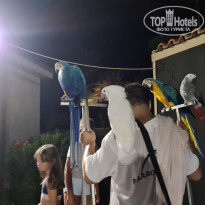 фото из отзыва ID 2216686