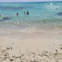 фото из отзыва ID 2216686