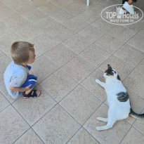 фото из отзыва ID 2216686