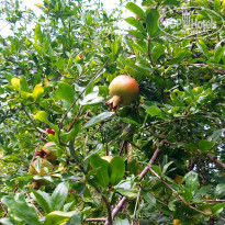 фото из отзыва ID 2216688