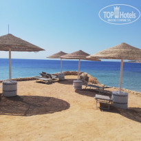 фото из отзыва ID 2216704