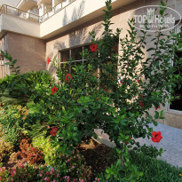 фото из отзыва ID 2216700