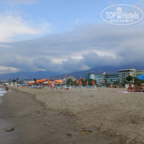 фото из отзыва ID 2216758