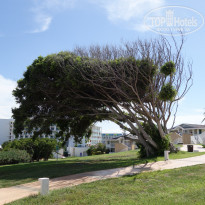 фото из отзыва ID 2216819