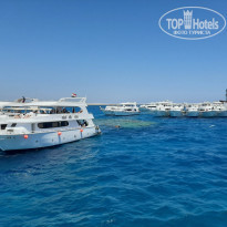 фото из отзыва ID 2216552