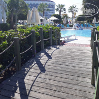 фото из отзыва ID 2216629