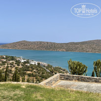 фото из отзыва ID 2217039