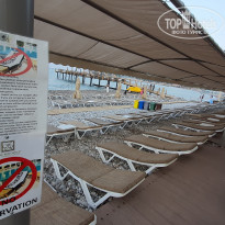 фото из отзыва ID 2217075