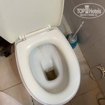 фото из отзыва ID 2217061