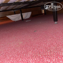 фото из отзыва ID 2217061