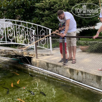 фото из отзыва ID 2217061