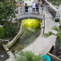 фото из отзыва ID 2217061