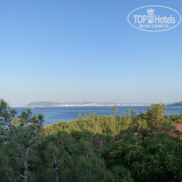 фото из отзыва ID 2217061