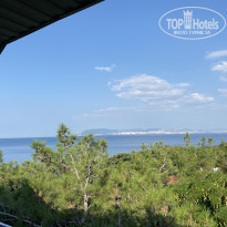 фото из отзыва ID 2217061