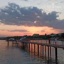 фото из отзыва ID 2217229