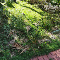 фото из отзыва ID 2217303