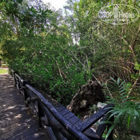 фото из отзыва ID 2217303