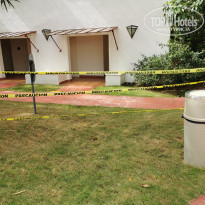 фото из отзыва ID 2217303