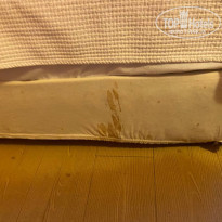 фото из отзыва ID 2217358