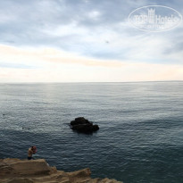 фото из отзыва ID 2217381