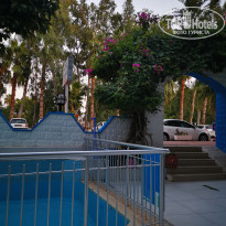 фото из отзыва ID 2217427