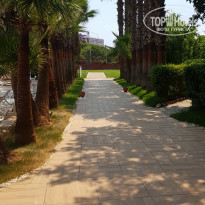 фото из отзыва ID 2217539