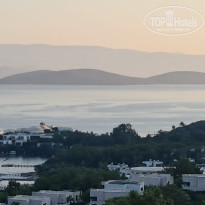 фото из отзыва ID 2217545