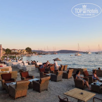 фото из отзыва ID 2217545