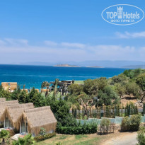 фото из отзыва ID 2217545