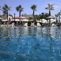 фото из отзыва ID 2217546