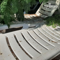 фото из отзыва ID 2217651