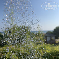 фото из отзыва ID 2217731