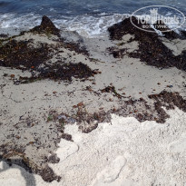 фото из отзыва ID 2217784