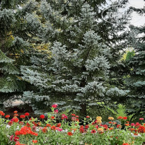 фото из отзыва ID 2217770