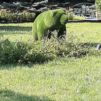 фото из отзыва ID 2217770