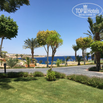 фото из отзыва ID 2217956