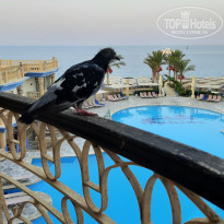 фото из отзыва ID 2217947