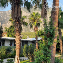 фото из отзыва ID 2217965