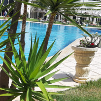 фото из отзыва ID 2217996