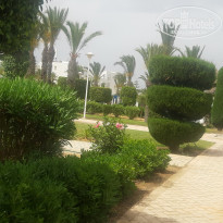 фото из отзыва ID 2217996