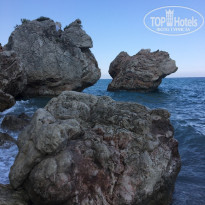 фото из отзыва ID 2216835