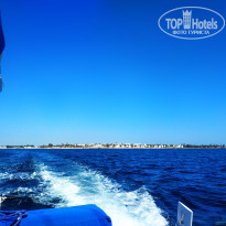 фото из отзыва ID 2218287