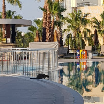 фото из отзыва ID 2218374