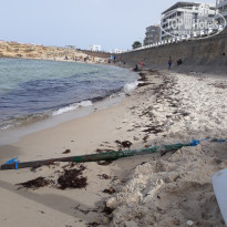 фото из отзыва ID 2218522