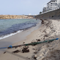 фото из отзыва ID 2218522