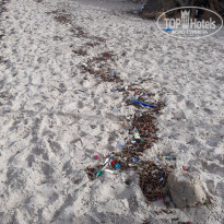 фото из отзыва ID 2218522