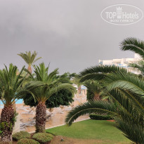 фото из отзыва ID 2218581