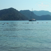 фото из отзыва ID 2218716